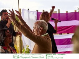 Festival Mar de Tethys 2026 - Bodega Vetas